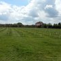May 2016 after the meadow had been topped and the tree rows mowed.