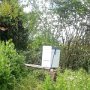 The beehive installed and the residents are working on the meadow grasses and flowers