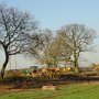 January 2016. Pollarding trees and laying hedges.