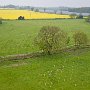 May 2016. Looking north from the Gilwiskaw Brook over the now laid hedge and new tree plantings.