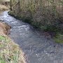 The Gilwiskaw Brook forms an attractive Southern boundary to the Meadow.