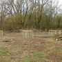 Mar 2016. The fruit trees planted in the southern corner.