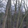 One of a number of Bird and Bat boxes put up round the meadow.