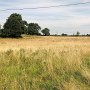 End of August and it is the end of the first season for the Meadow